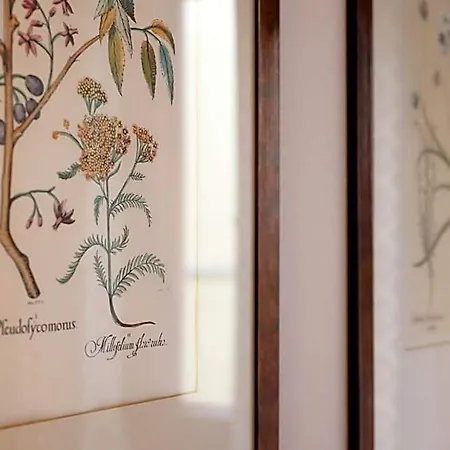 Hotel Morandi Florence